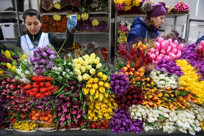 Den žen, který se více zaměřuje na nabízení tulipánů a růží než na práva žen, je pro ruské květinářství nejvýnosnějším obdobím roku (AFP Photo/Kirill KUDRYAVTSEV)